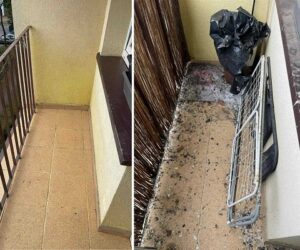 Sprzątanie balkonów po gołębiach Białystok